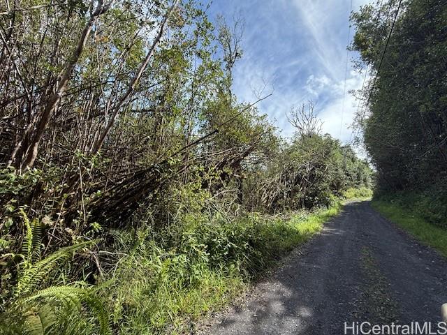 17-3352 Maunalani Road  Mountain View, Hi vacant land for sale - photo 5 of 9