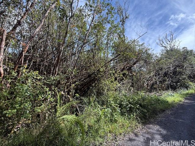 17-3352 Maunalani Road  Mountain View, Hi vacant land for sale - photo 6 of 9