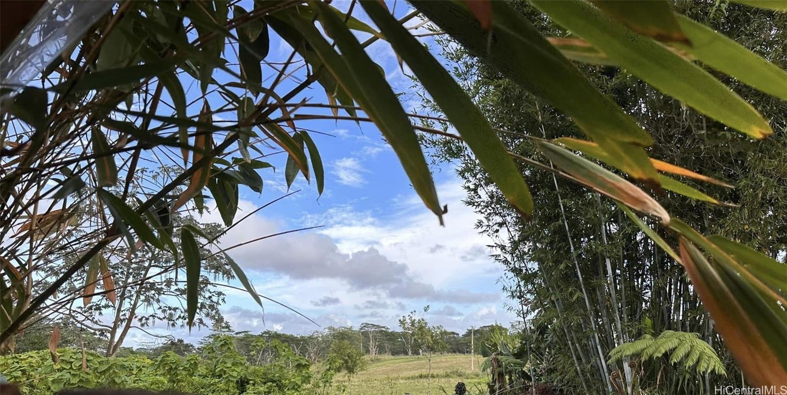 17-4224 Kuaaina Road  Kurtistown, Hi vacant land for sale - photo 14 of 25