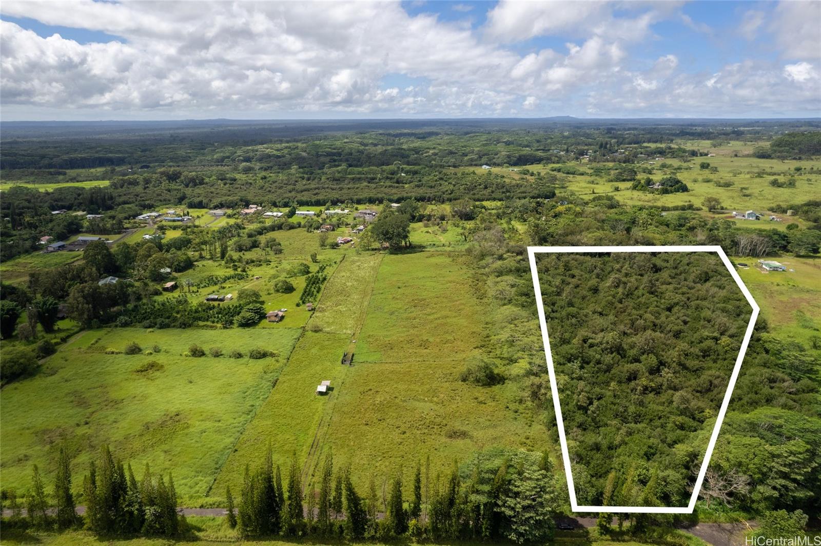 17-4531 South Road  Kurtistown, Hi vacant land for sale - photo 1 of 10