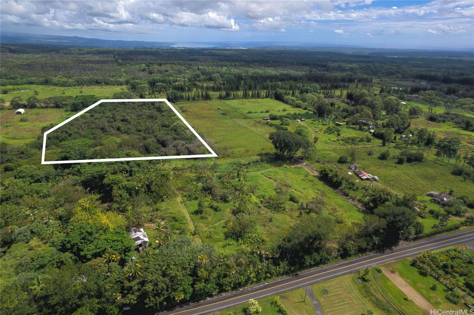 17-4531 South Road  Kurtistown, Hi vacant land for sale - photo 2 of 10