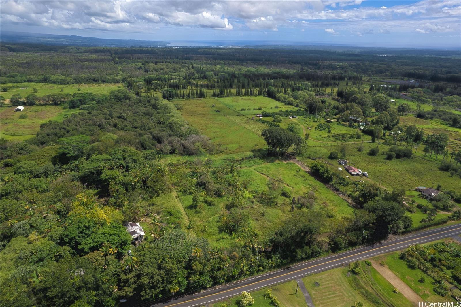 17-4531 South Road  Kurtistown, Hi vacant land for sale - photo 4 of 10