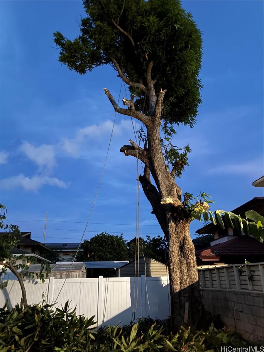 1751  Ahuula Street Kapalama, Honolulu home - photo 3 of 5