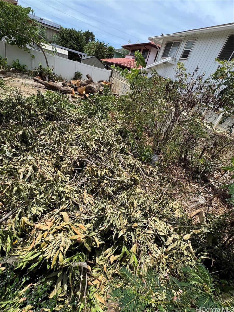 1751  Ahuula Street Kapalama, Honolulu home - photo 4 of 5
