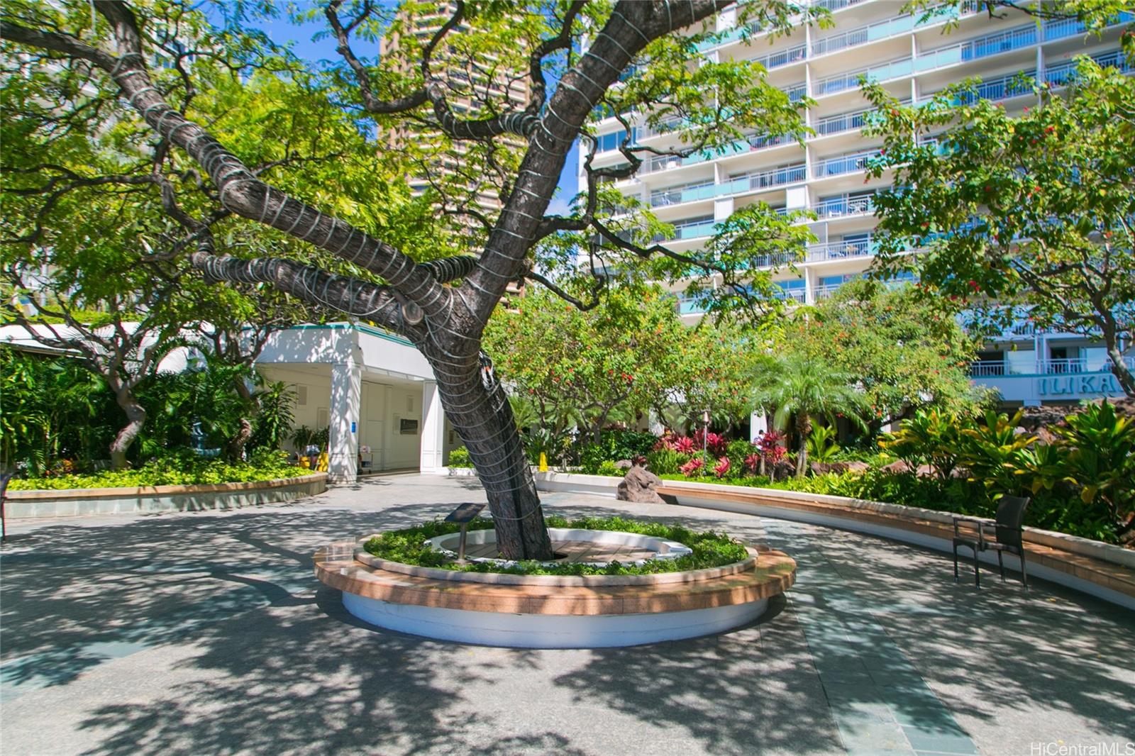 Ilikai Apt Bldg condo # 638, Honolulu, Hawaii - photo 13 of 20