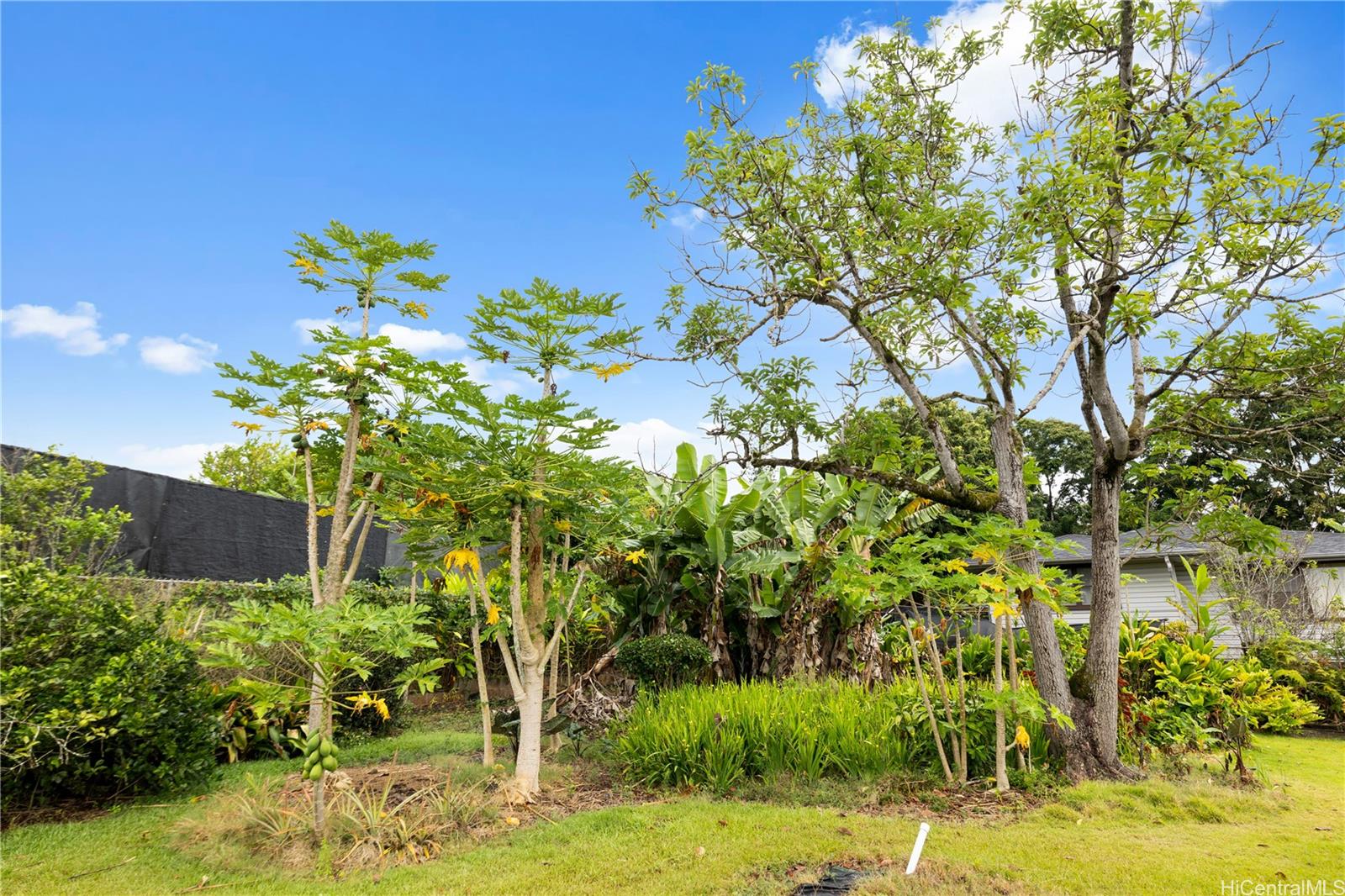 1795  Eames Street Wahiawa Heights, Central home - photo 22 of 25