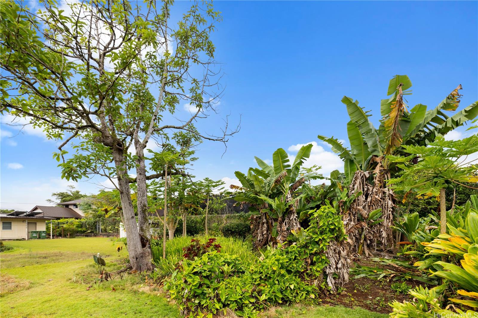 1795  Eames Street Wahiawa Heights, Central home - photo 23 of 25