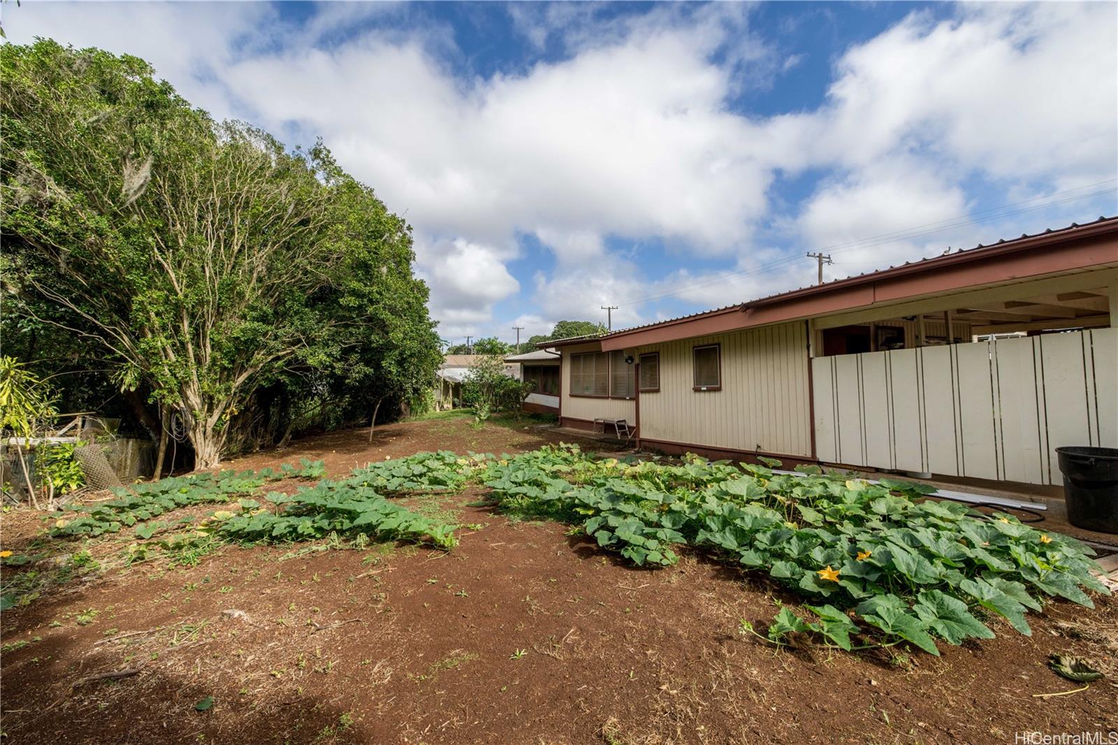181  Rose St Wahiawa Area, Central home - photo 11 of 25