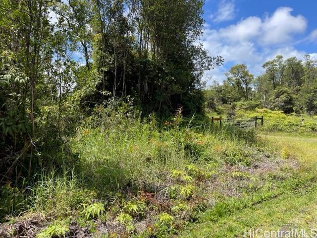 18-1439 Ihope Road  Mountain View, Hi vacant land for sale - photo 1 of 10