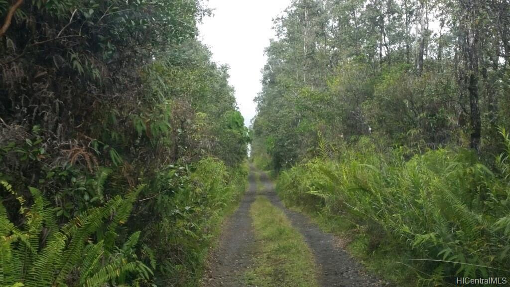 18-1824 Old Volcano Road  Mountain View, Hi vacant land for sale - photo 2 of 17