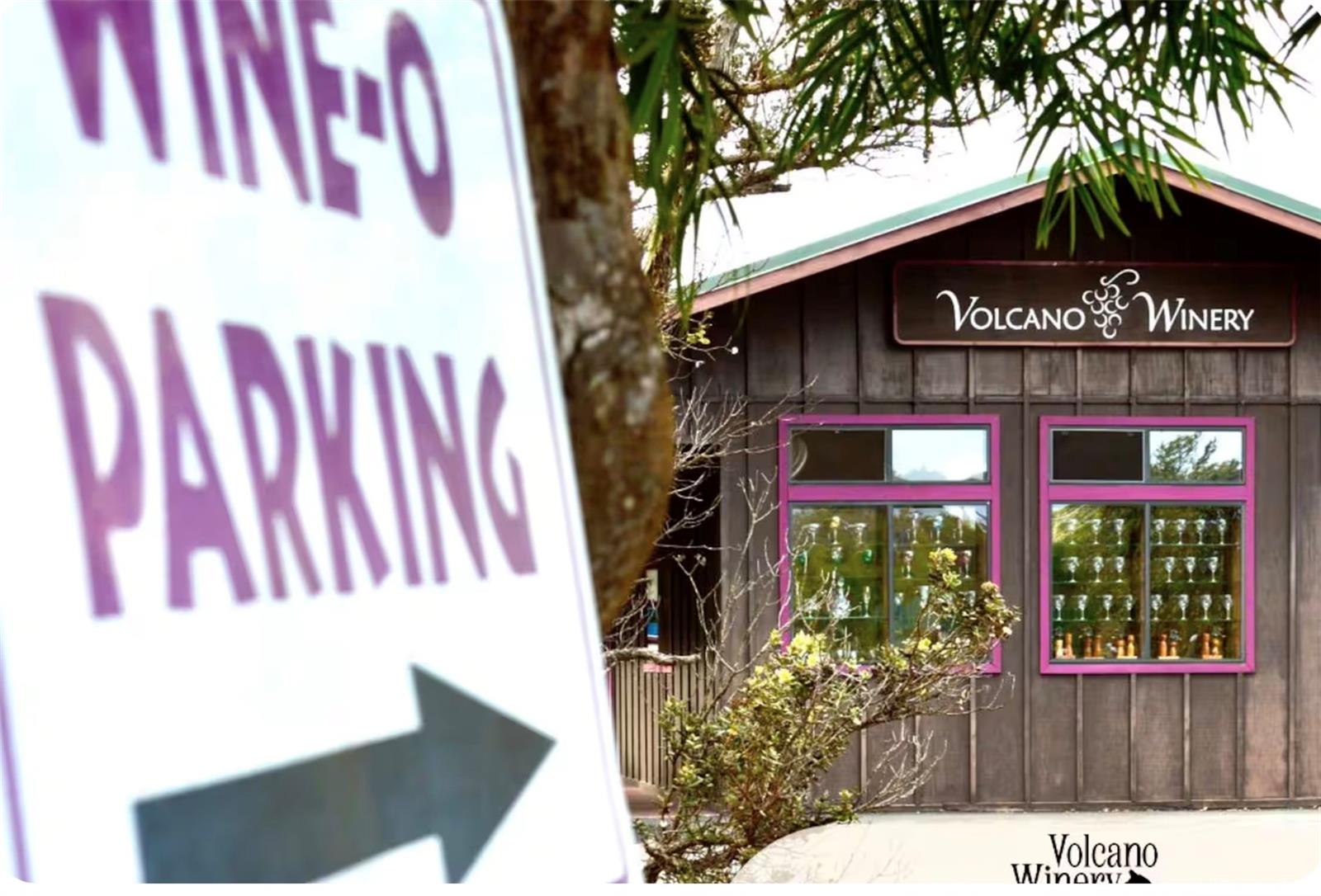 18-4011  Makuahine Rd Orchid Isle Est, Puna home - photo 22 of 24