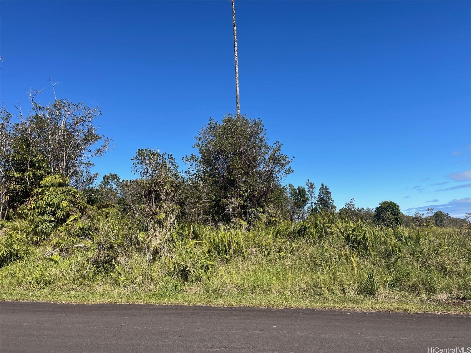 18-4120 Lehuanani Street  Volcano, Hi vacant land for sale - photo 3 of 11