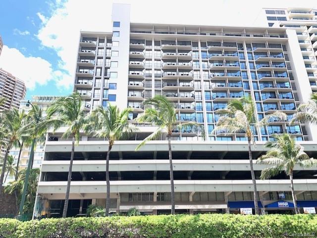 waikiki 305