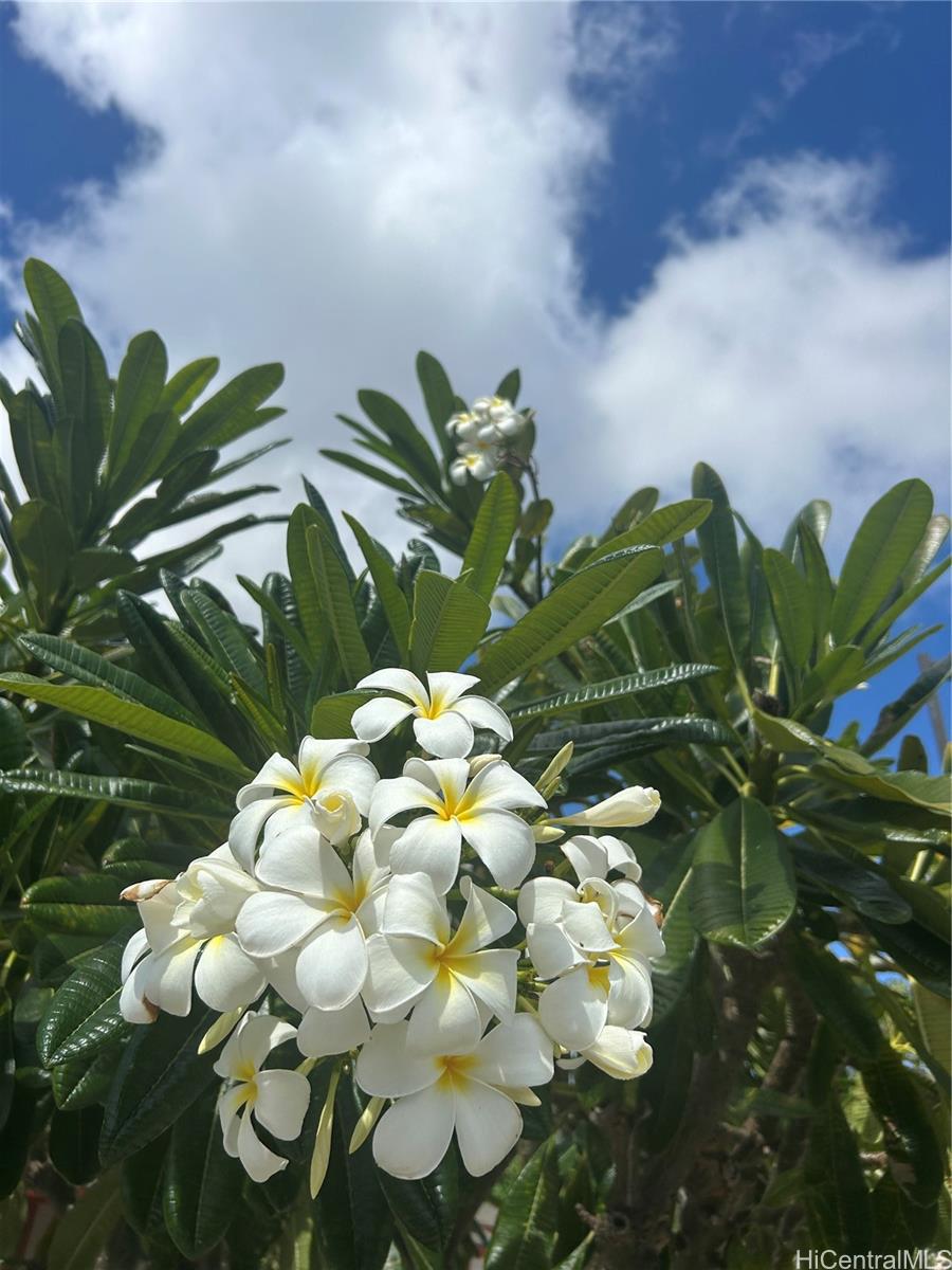 Royal Aloha condo # 509, Honolulu, Hawaii - photo 12 of 25