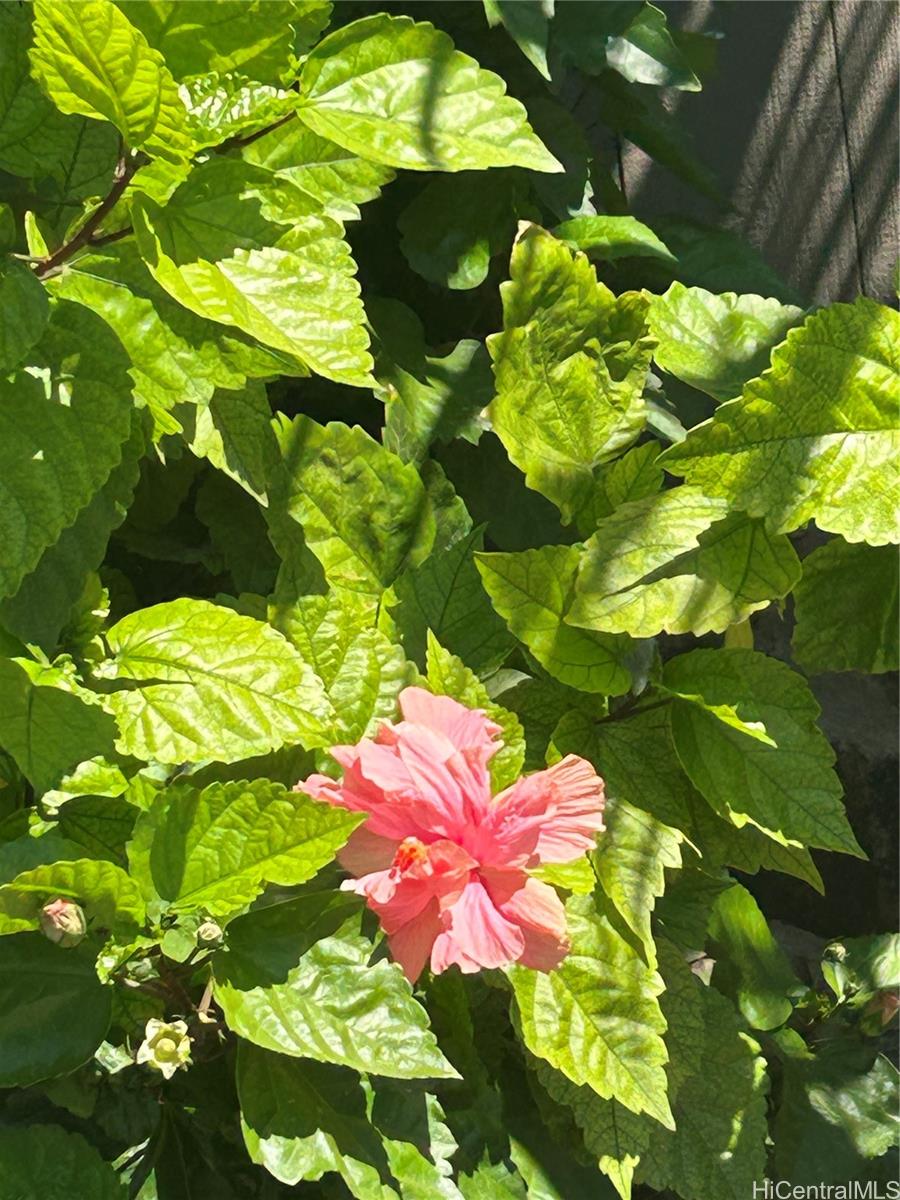 Royal Aloha condo # 509, Honolulu, Hawaii - photo 13 of 25