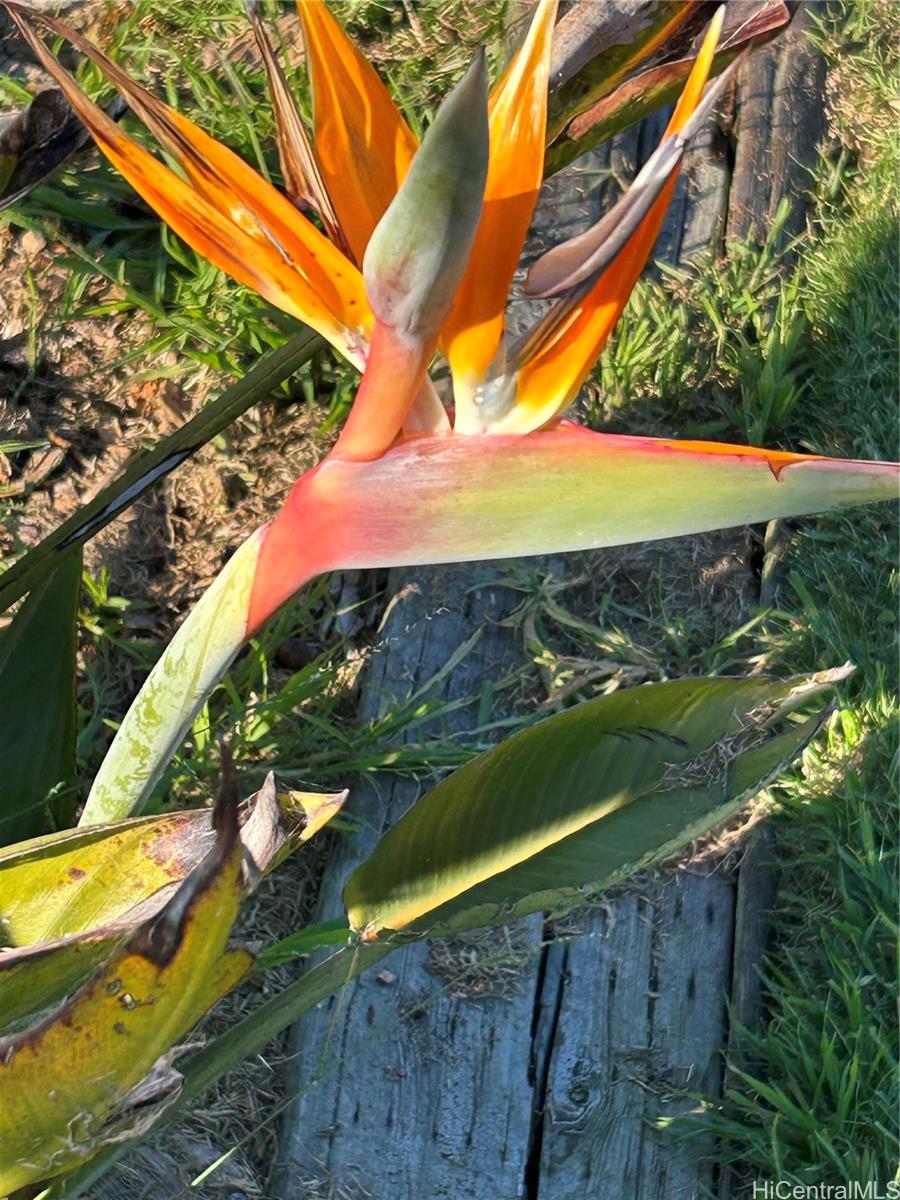 Royal Aloha condo # 509, Honolulu, Hawaii - photo 20 of 25