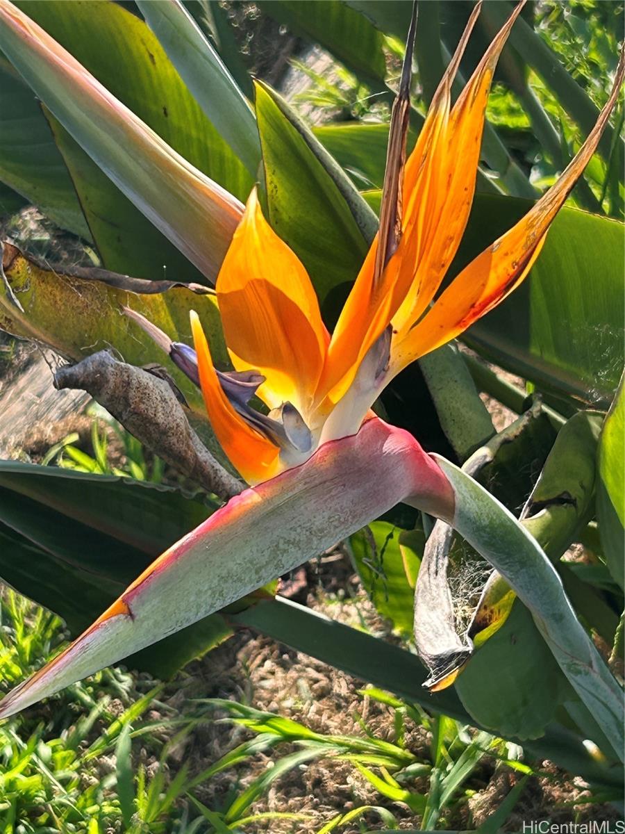 Royal Aloha condo # 509, Honolulu, Hawaii - photo 21 of 25