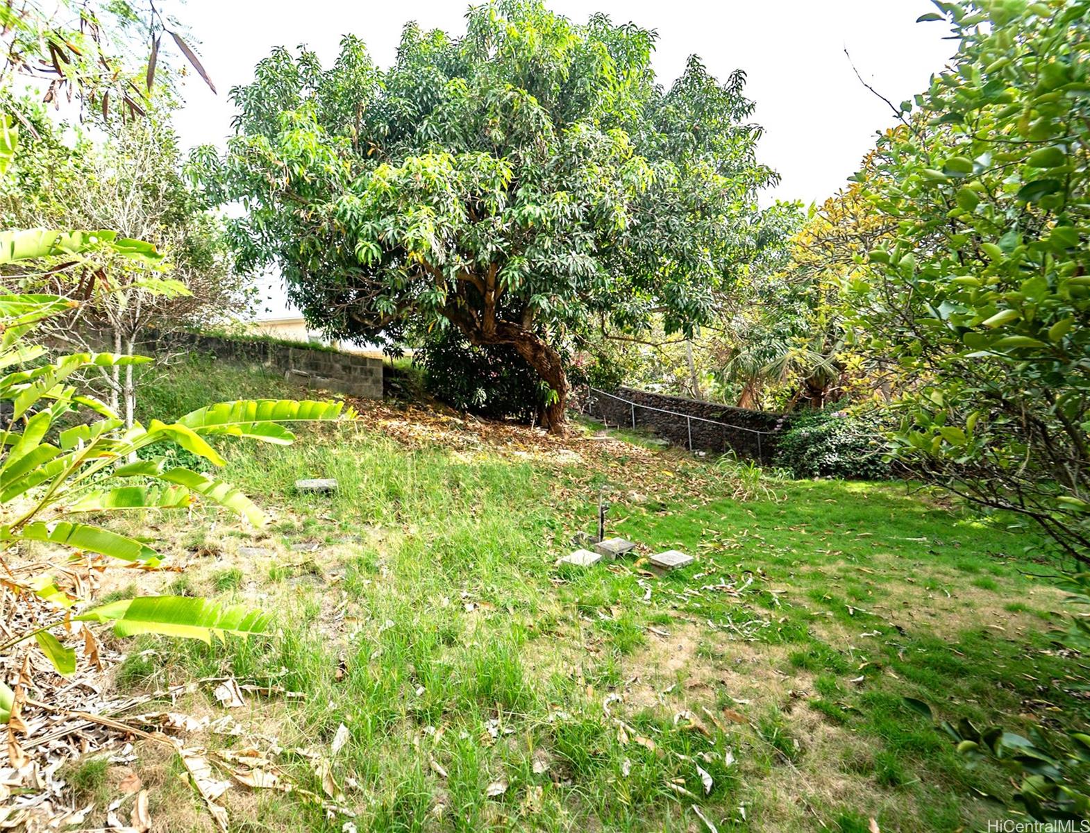 1926  Ualakaa St Ualakaa, Honolulu home - photo 18 of 20