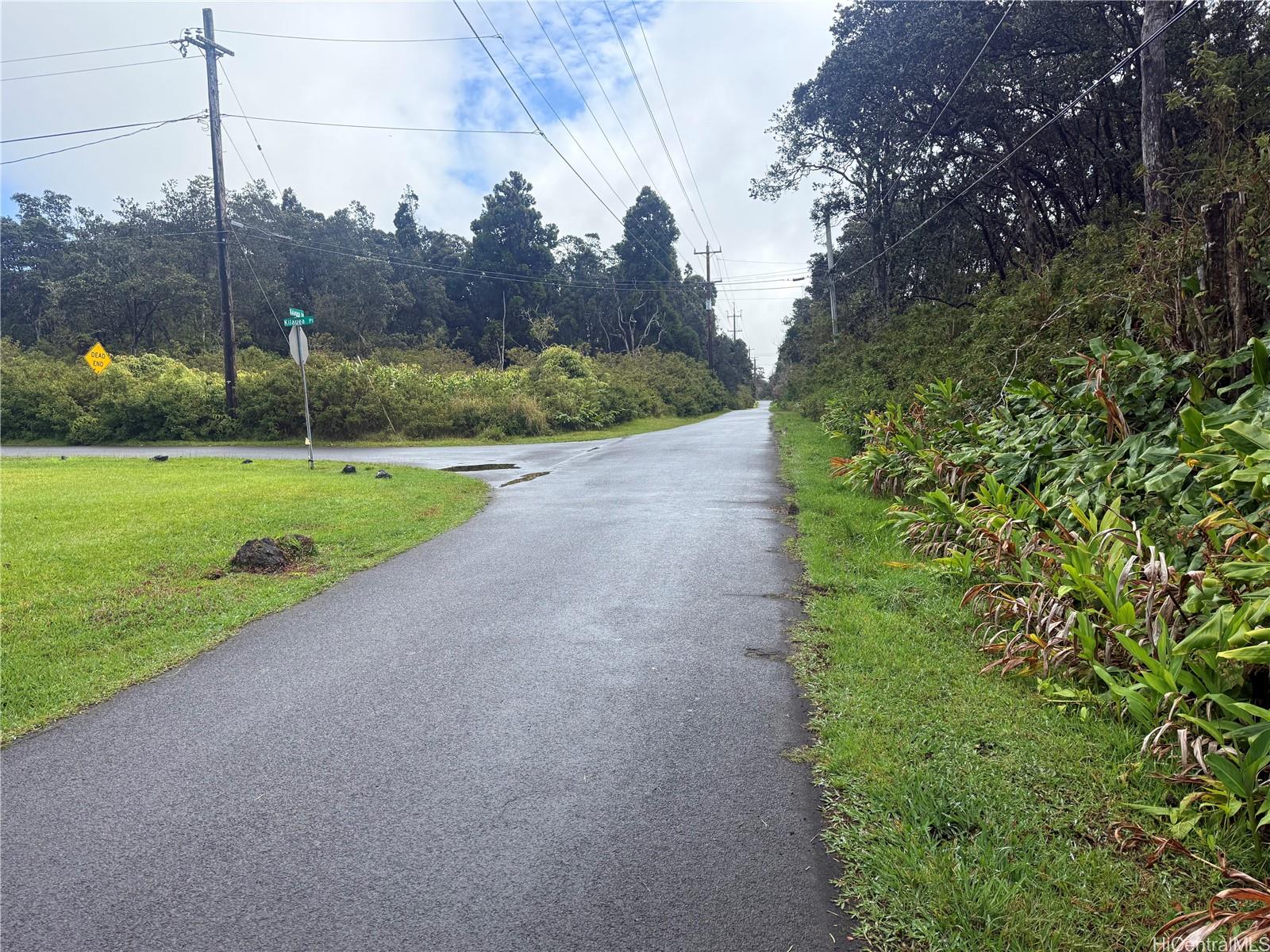 19-3140 Mamaki Place  Hilo, Hi vacant land for sale - photo 3 of 4