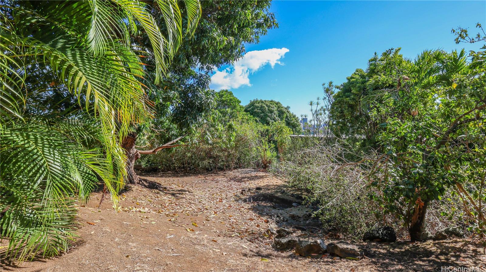 2026 Ahualani Place A Honolulu, Hi vacant land for sale - photo 20 of 25