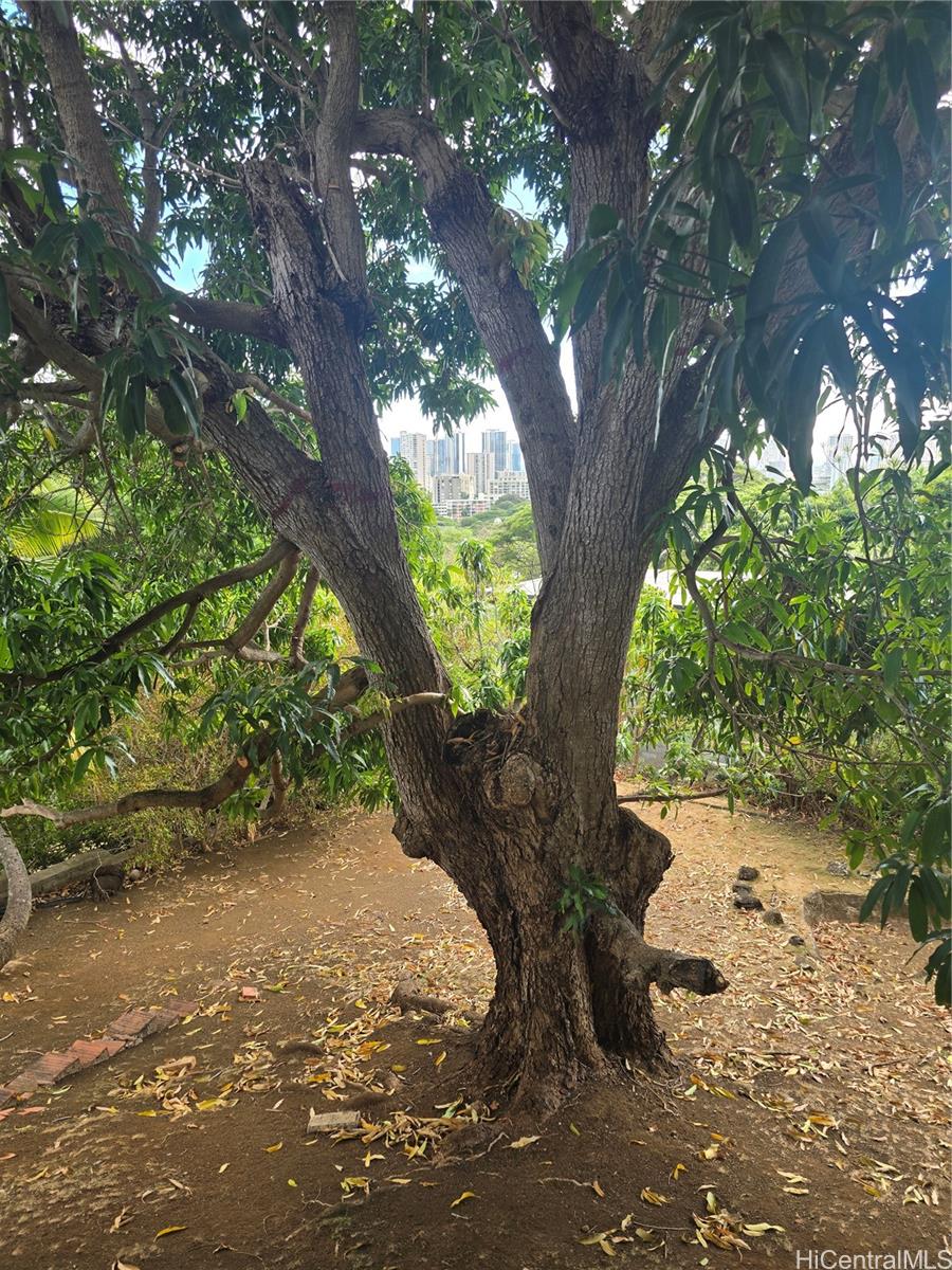 2026 Ahualani Place A Honolulu, Hi vacant land for sale - photo 21 of 25