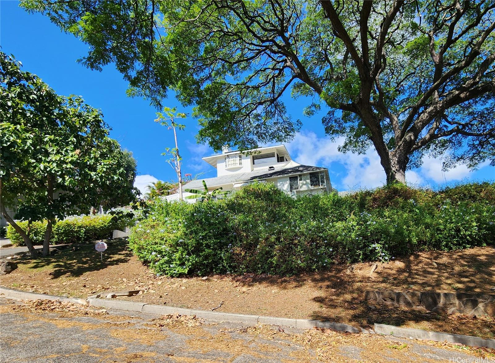 2056  Manoa Rd Ualakaa, Honolulu home - photo 2 of 10