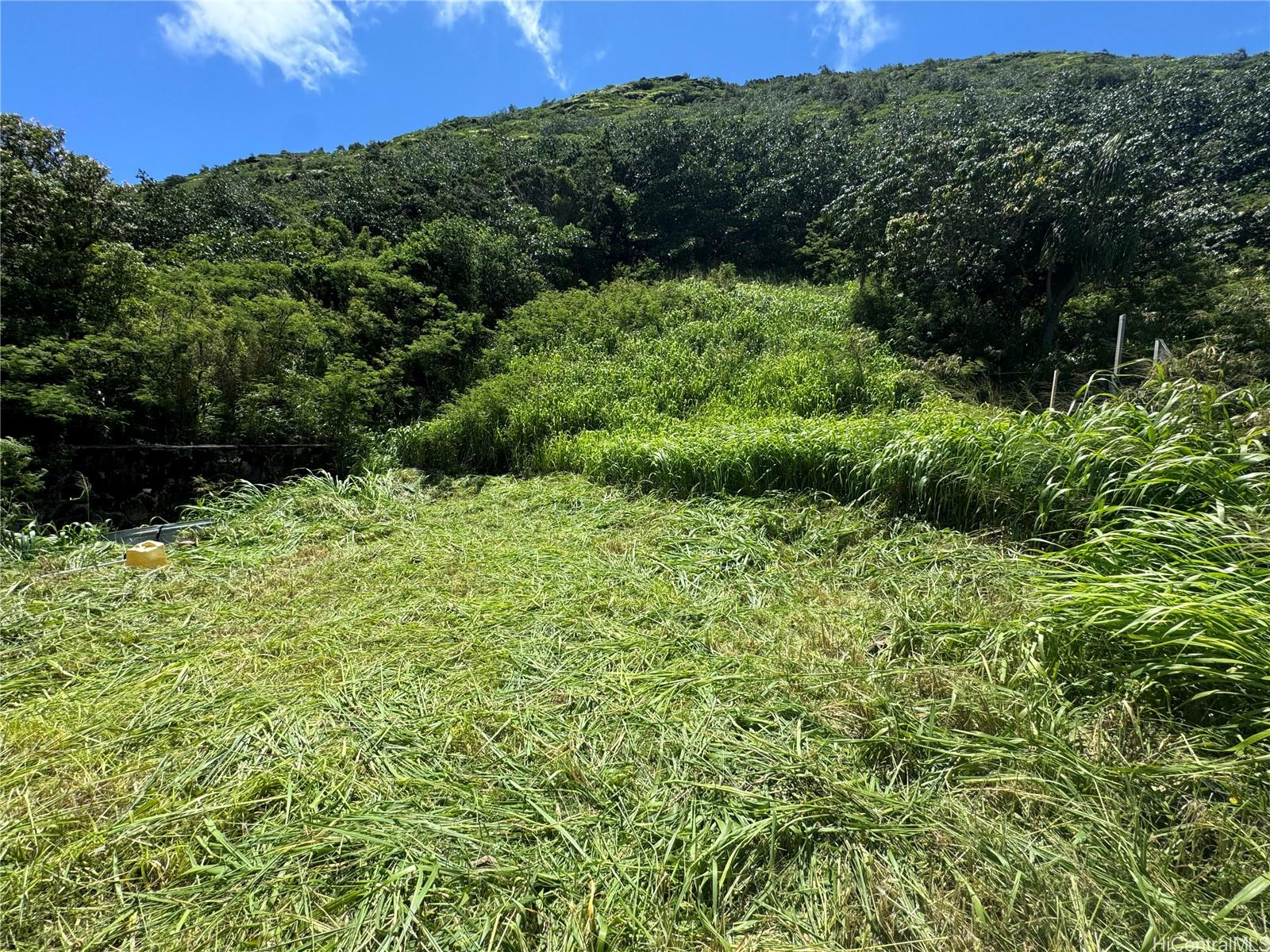 2062 Palolo Ave  Honolulu, Hi vacant land for sale - photo 2 of 8