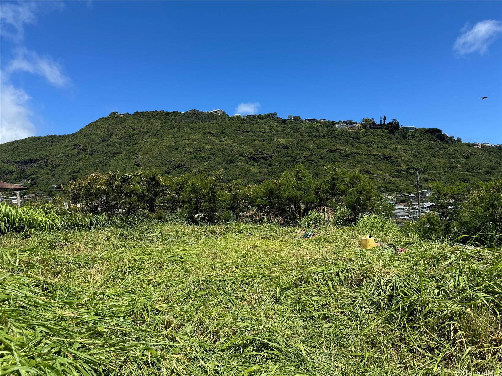 2062 Palolo Ave  Honolulu, Hi vacant land for sale - photo 3 of 8