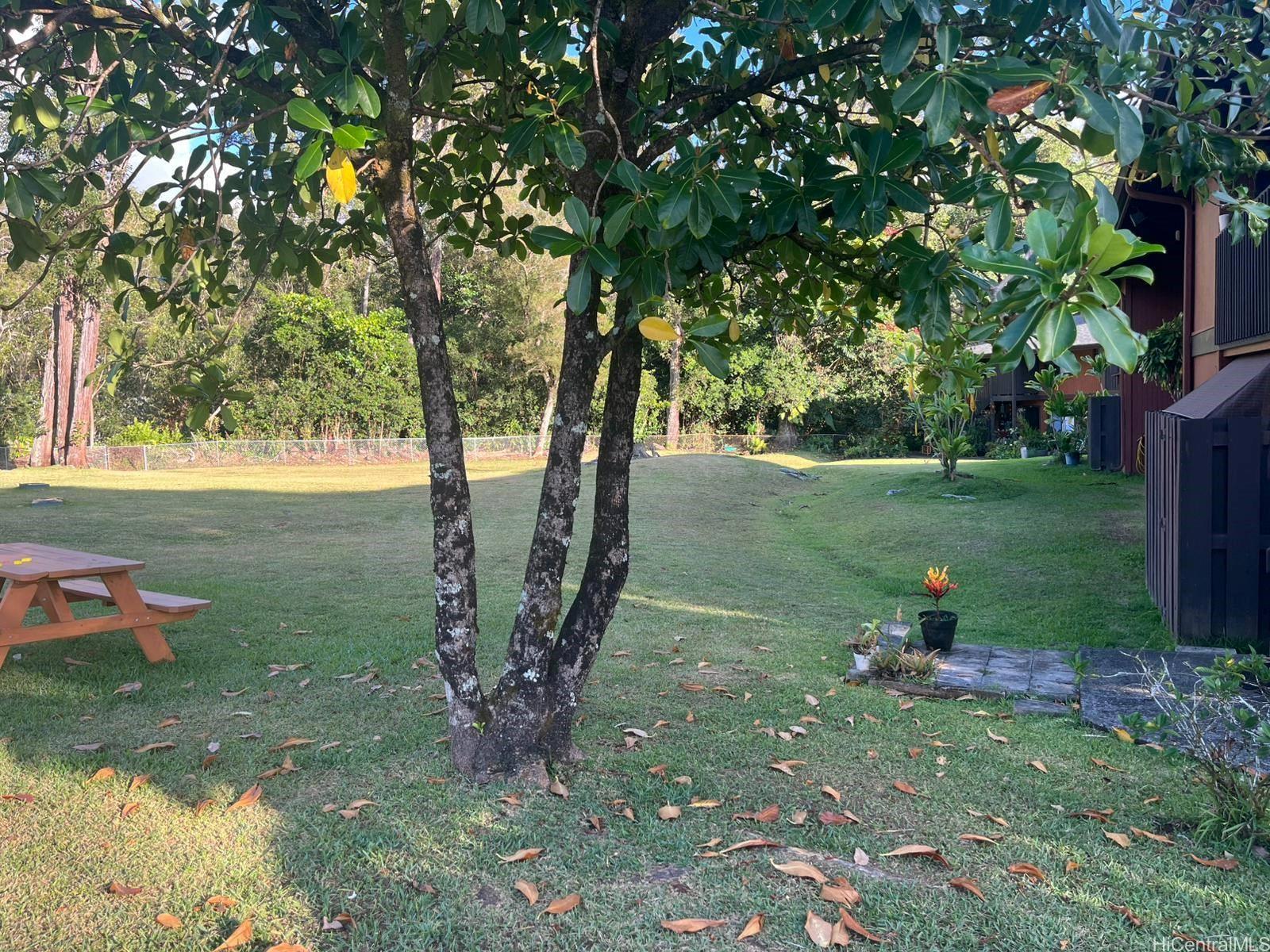 2069 California Ave townhouse # 13C, Wahiawa, Hawaii - photo 3 of 21