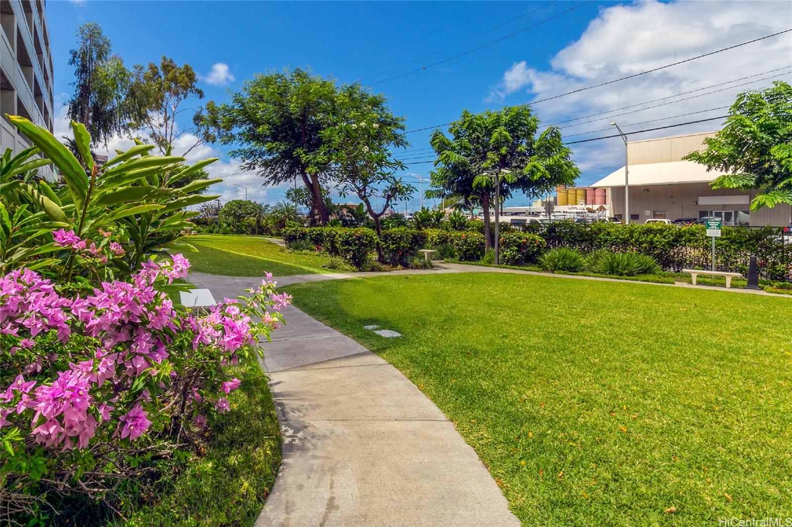 215 King Street Honolulu - Rental - photo 14 of 14