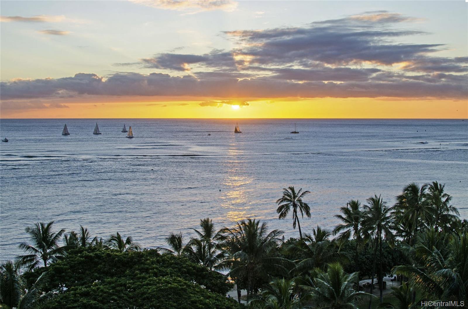Waikiki Shore condo # 918, Honolulu, Hawaii - photo 24 of 25