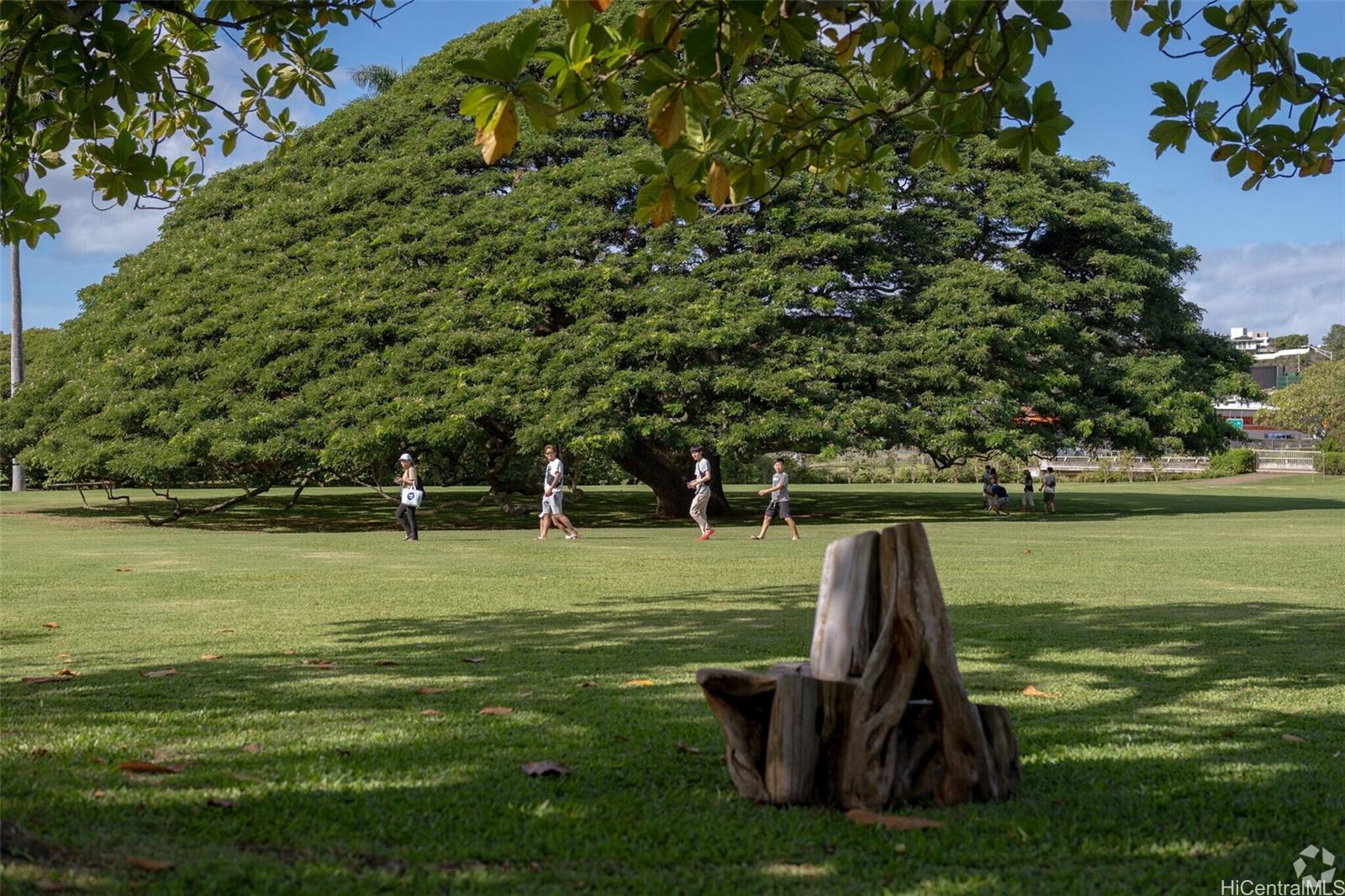 2202  Wilson Street Kalihi-upper, Honolulu home - photo 18 of 20
