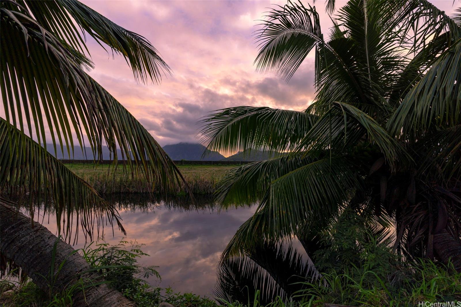 221 Kihapai St 2 Kailua, Hi vacant land for sale - photo 2 of 25