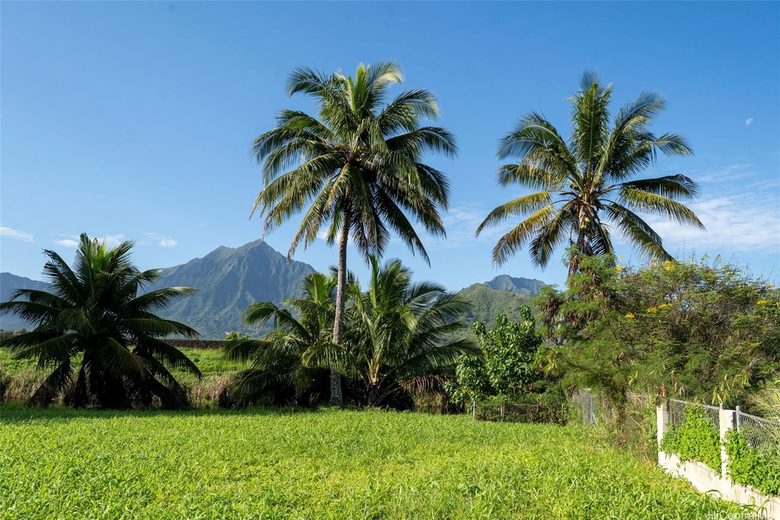 221 Kihapai St 2 Kailua, Hi vacant land for sale - photo 14 of 25