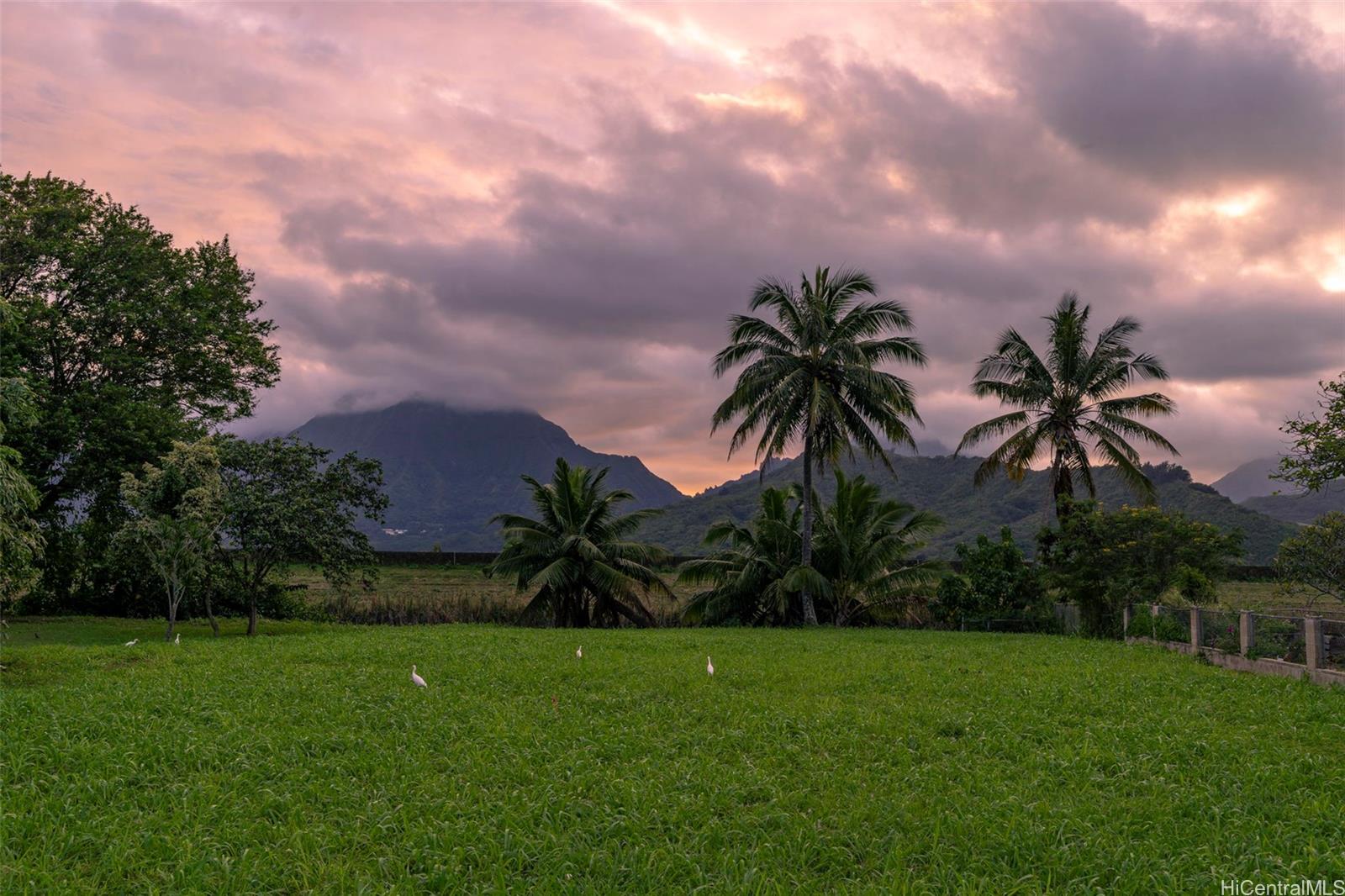 221 Kihapai St 2 Kailua, Hi vacant land for sale - photo 8 of 25