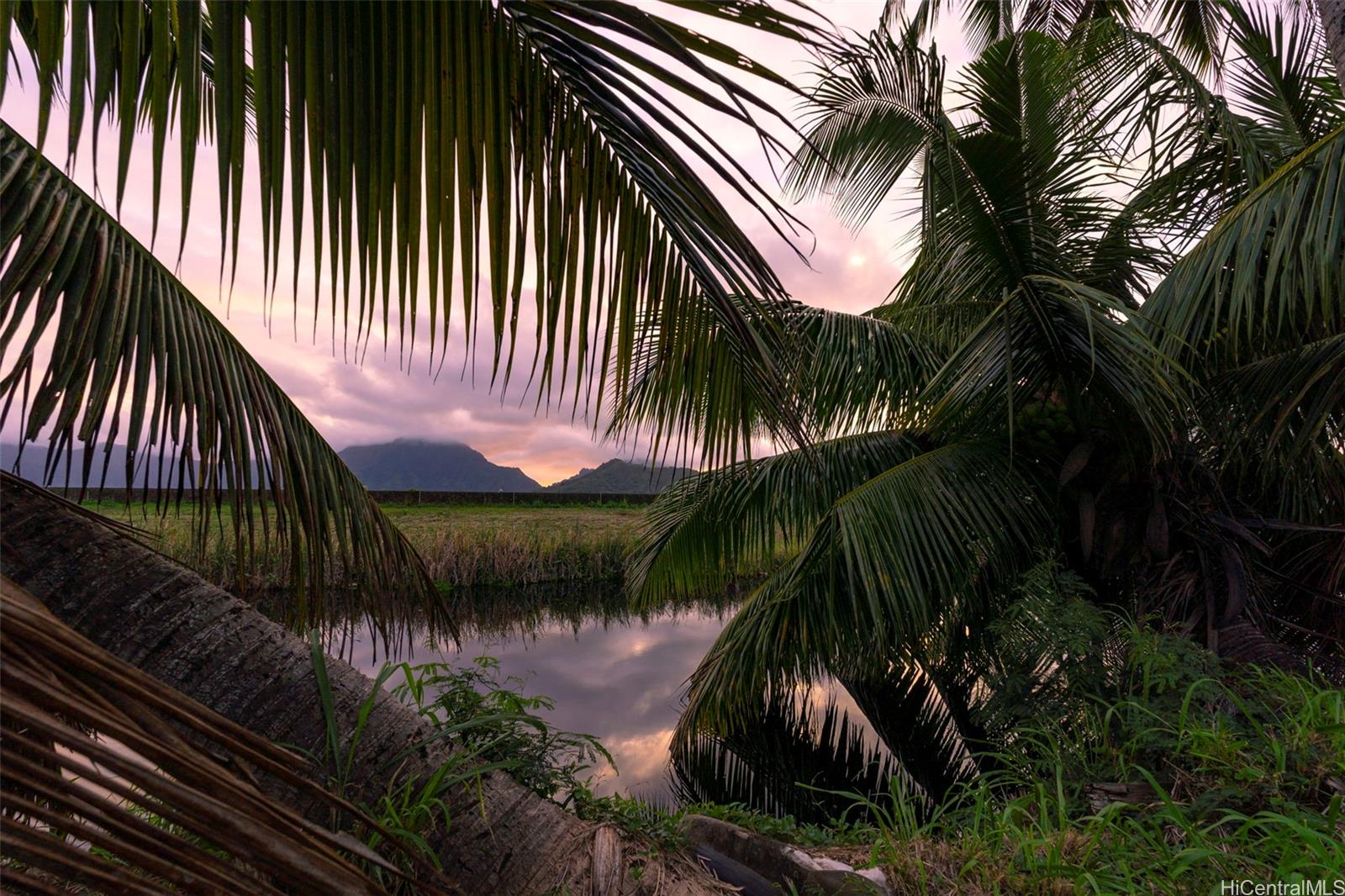 221 Kihapai St 2 Kailua, Hi vacant land for sale - photo 9 of 25