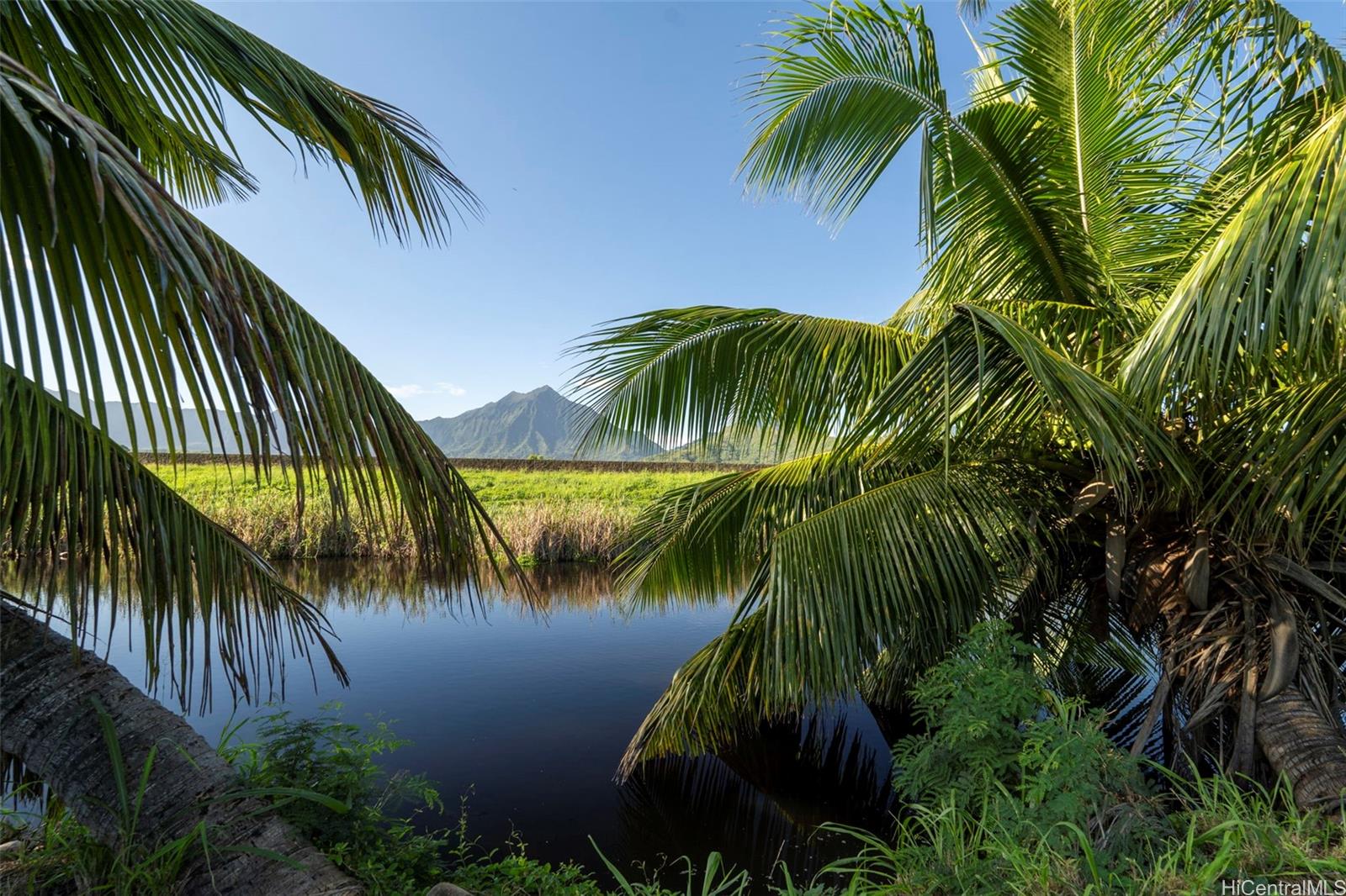 221 Kihapai St 2 Kailua, Hi vacant land for sale - photo 10 of 25
