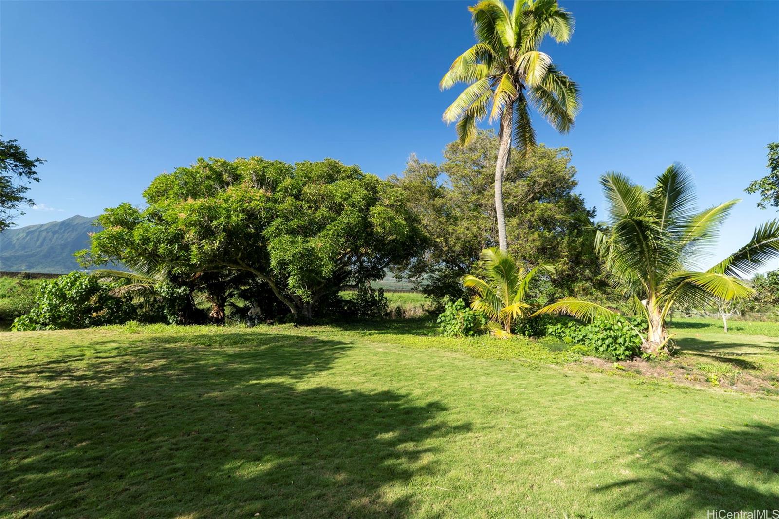 Na condo # 3, Kailua, Hawaii - photo 4 of 24