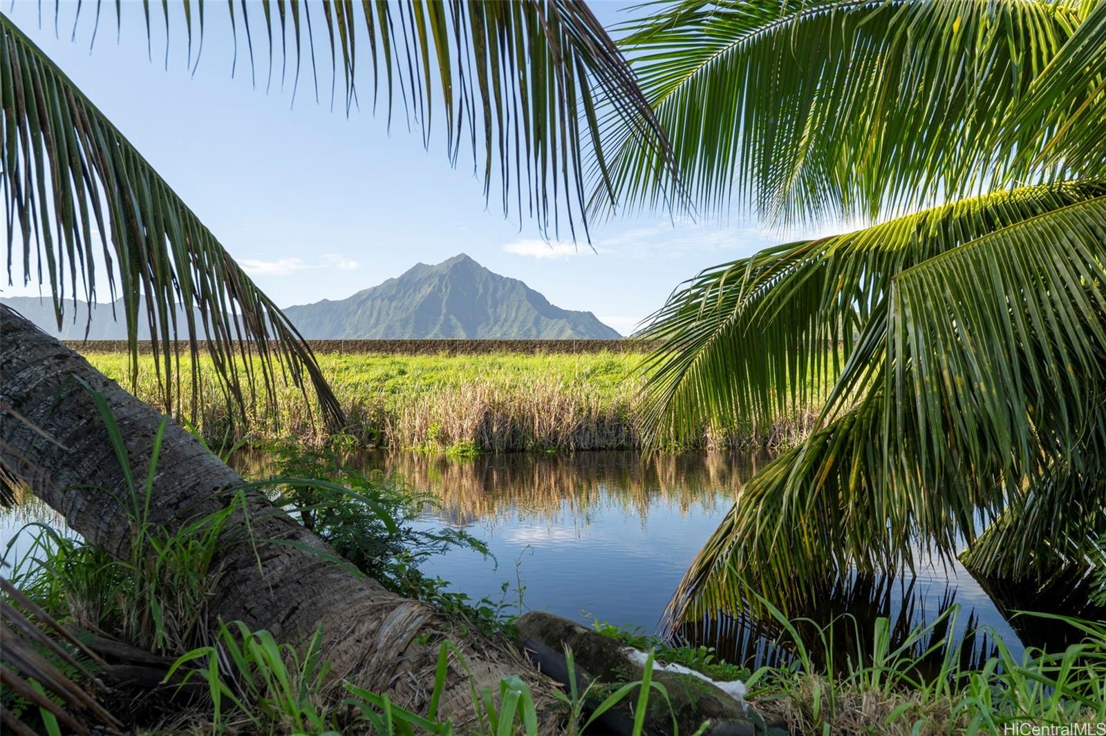221 Kihapai Street  Kailua, Hi vacant land for sale - photo 20 of 24
