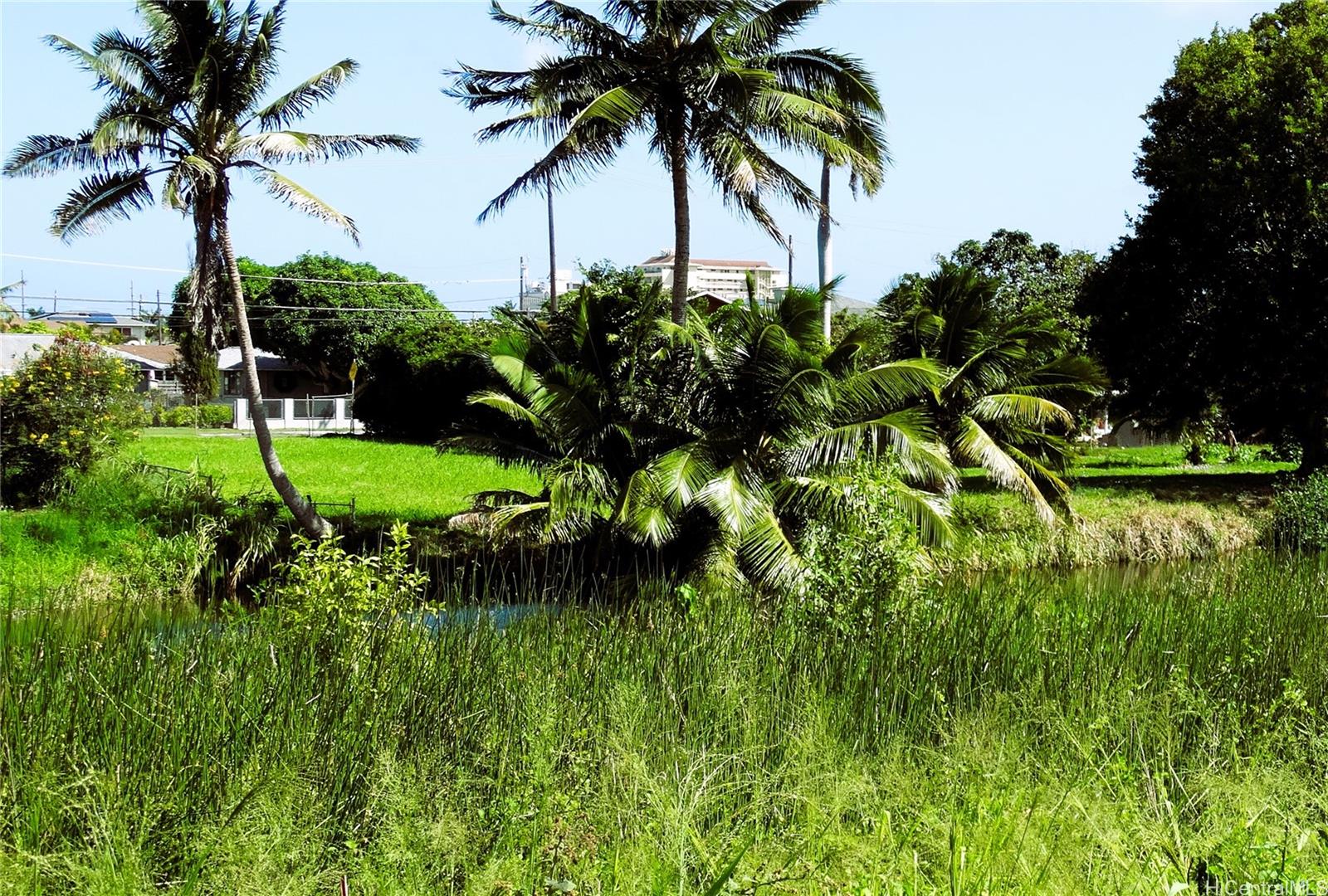 221 B Kihapai Street  Kailua, Hi vacant land for sale - photo 11 of 20