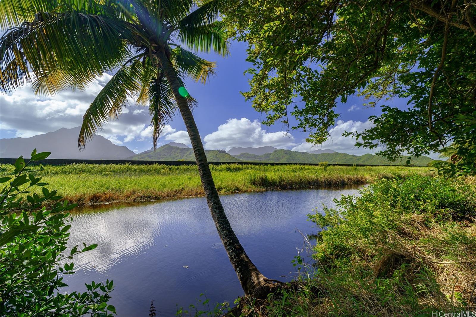 221 B Kihapai Street  Kailua, Hi vacant land for sale - photo 12 of 20