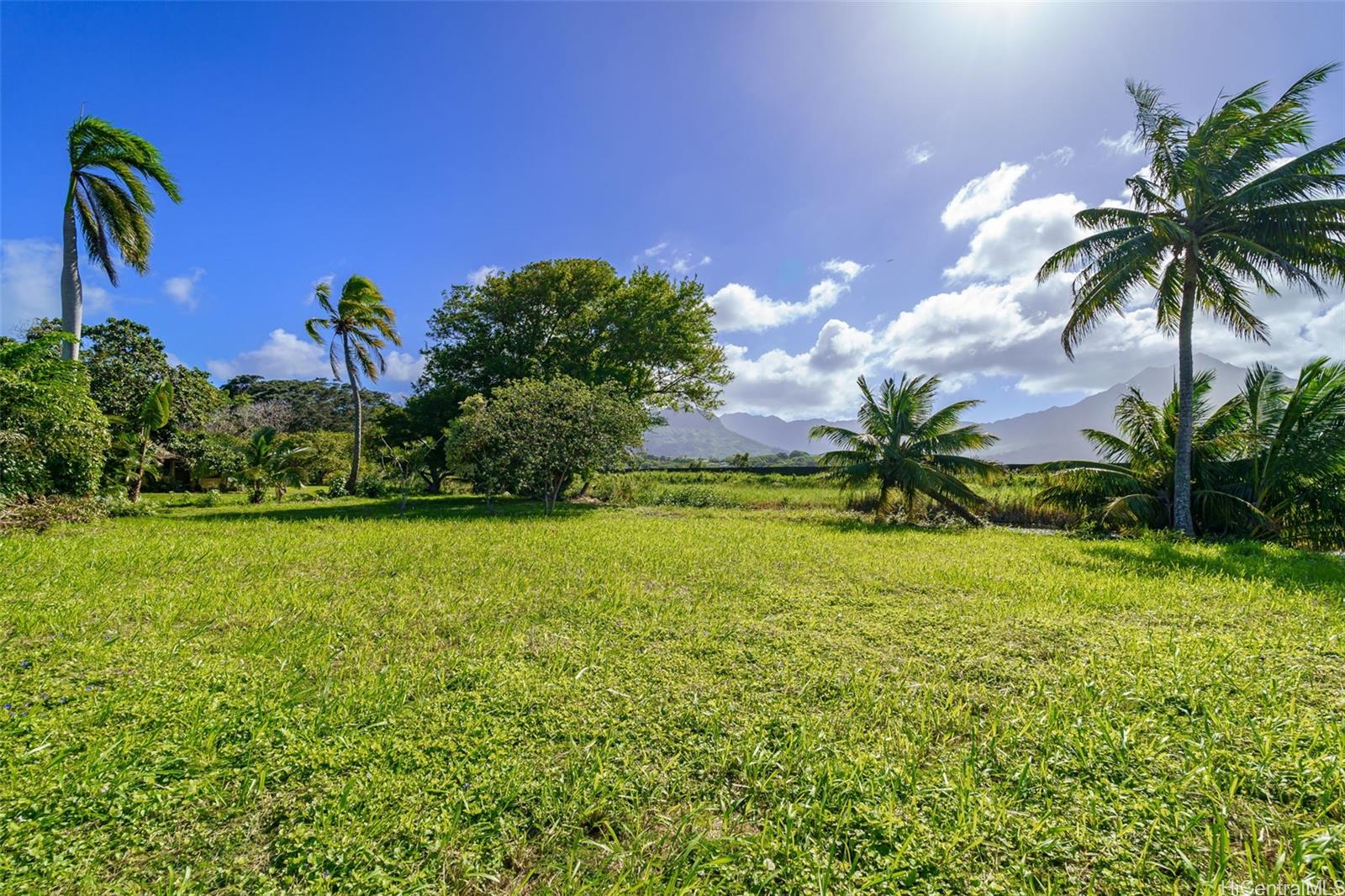 221 B Kihapai Street  Kailua, Hi vacant land for sale - photo 3 of 19