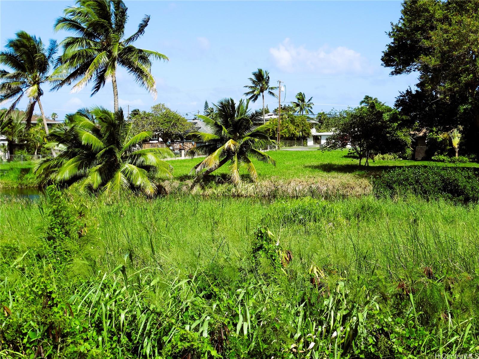 221 B Kihapai Street  Kailua, Hi vacant land for sale - photo 6 of 19