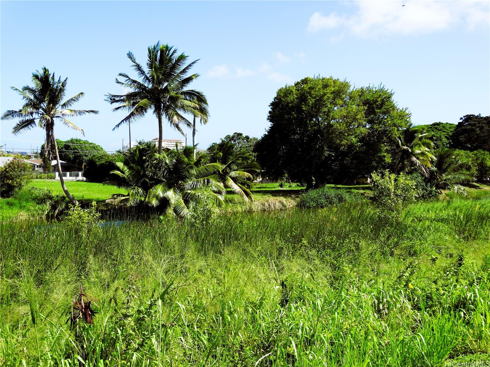 221 B Kihapai Street  Kailua, Hi vacant land for sale - photo 8 of 19