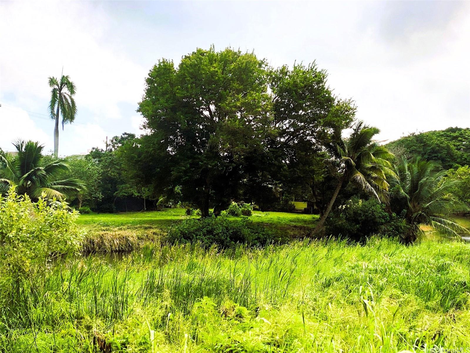 221 C Kihapai St  Kailua, Hi vacant land for sale - photo 2 of 19