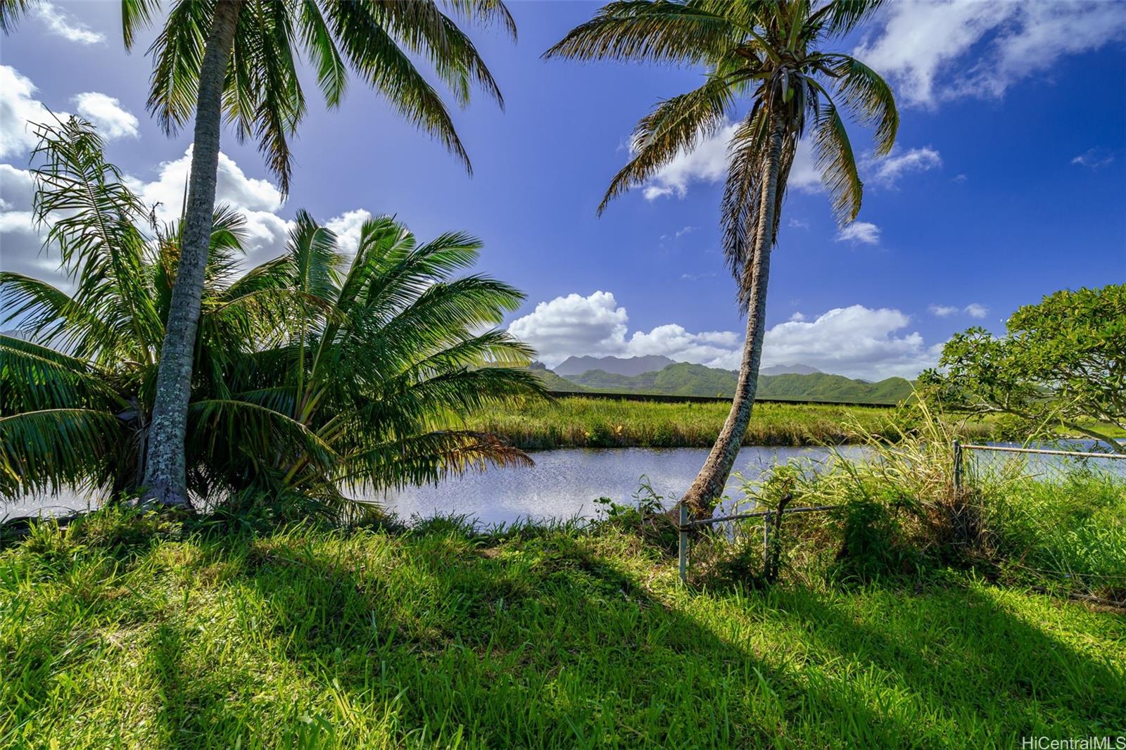 221 C Kihapai Street  Kailua, Hi vacant land for sale - photo 11 of 20