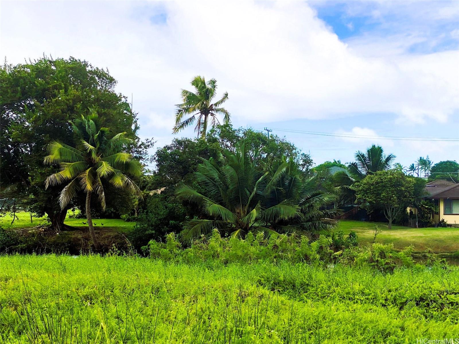 221 C Kihapai St  Kailua, Hi vacant land for sale - photo 3 of 19