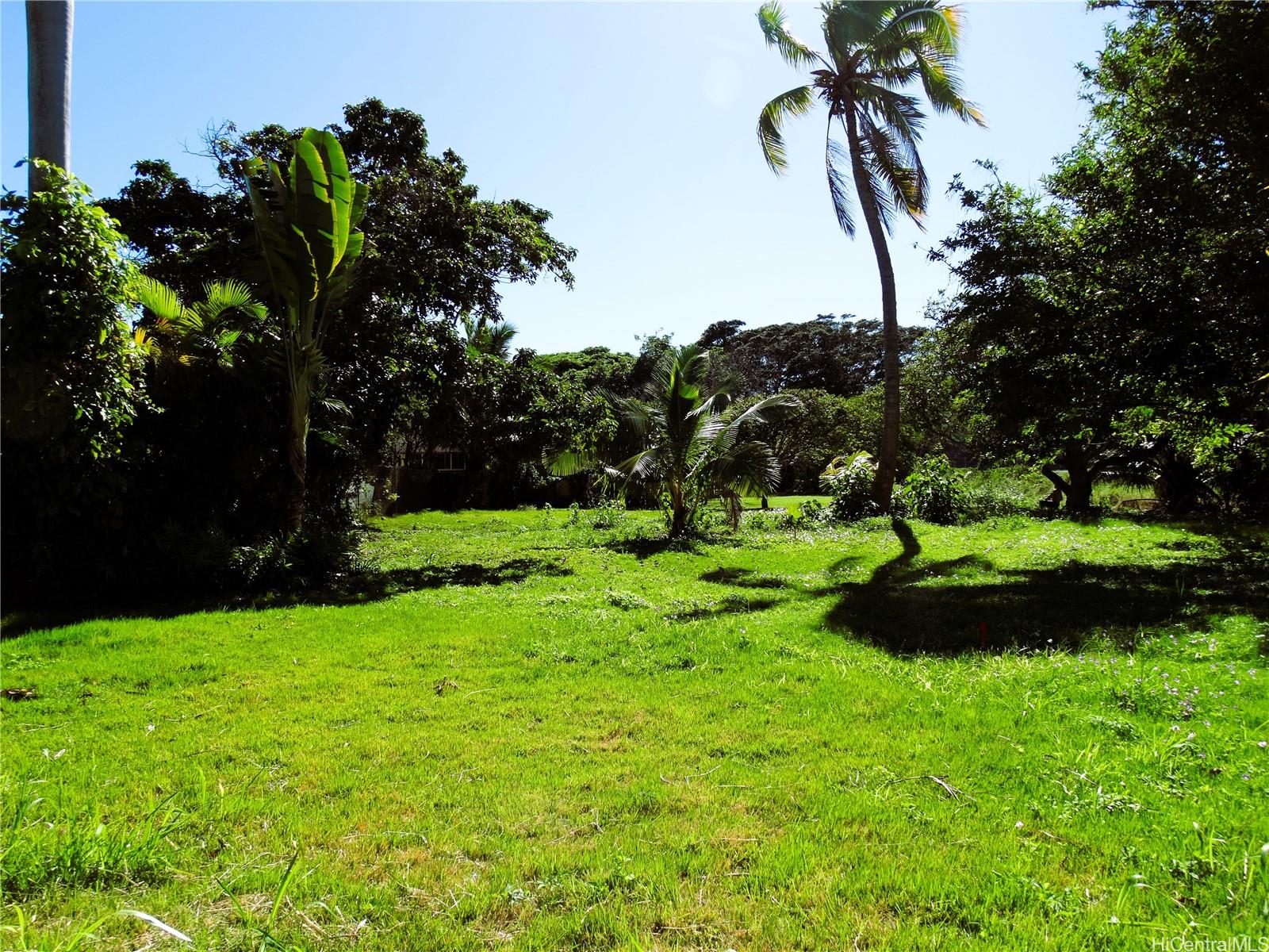 221 C Kihapai Street  Kailua, Hi vacant land for sale - photo 6 of 20