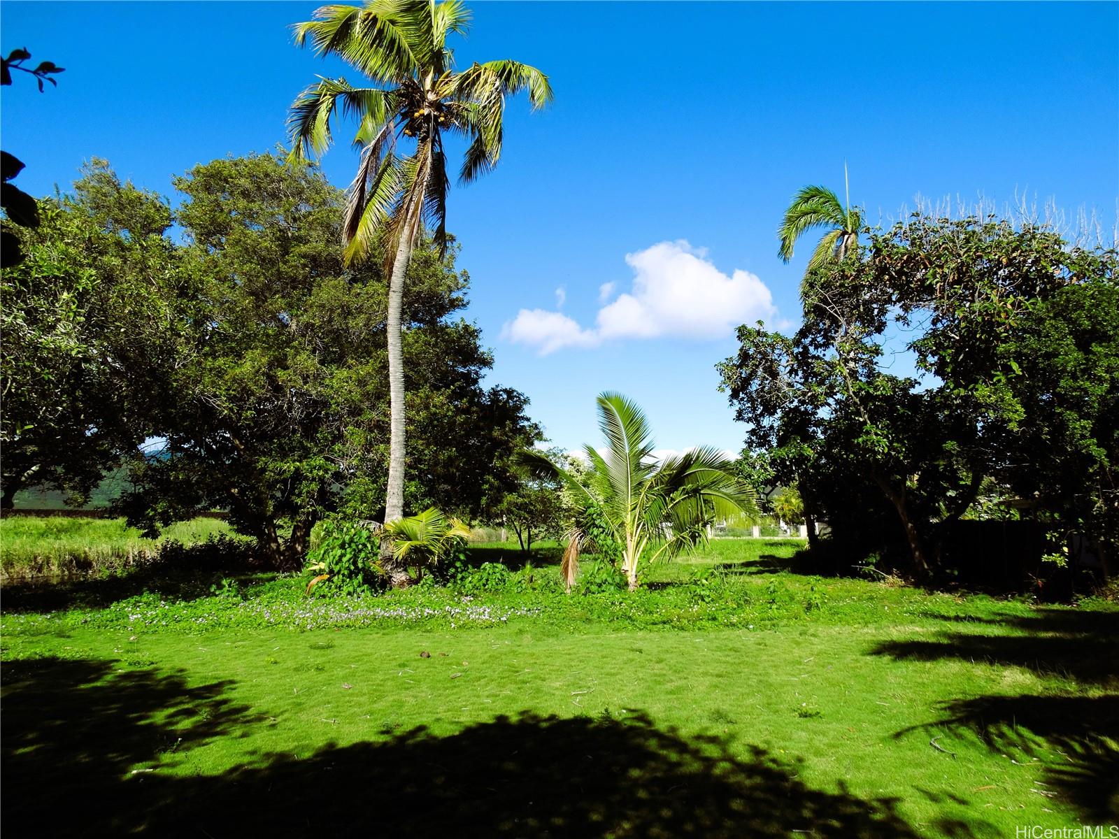 221 C Kihapai Street  Kailua, Hi vacant land for sale - photo 9 of 20