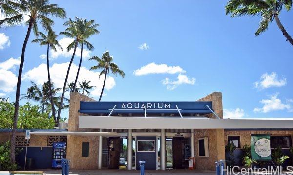 Liliuokalani Plaza condo # 302, Honolulu, Hawaii - photo 22 of 24